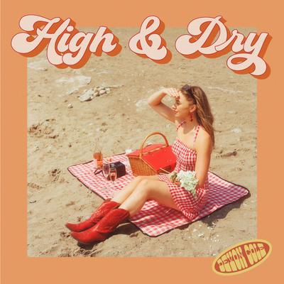 High & Dry's cover