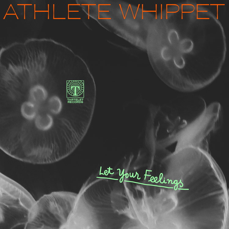 Athlete Whippet's avatar image