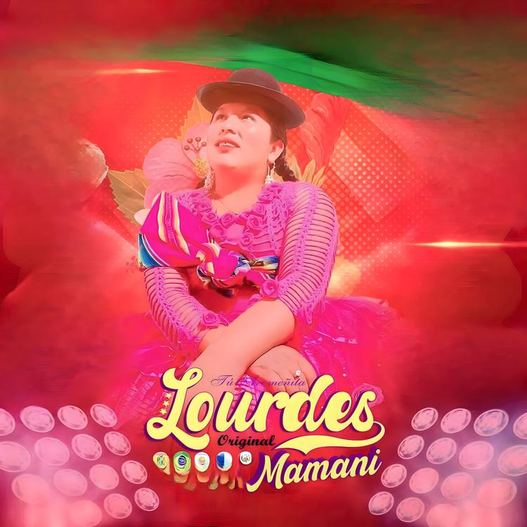 Lourdes Mamaní's avatar image