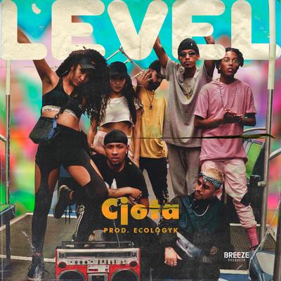 Level By CJota, Breeze's cover