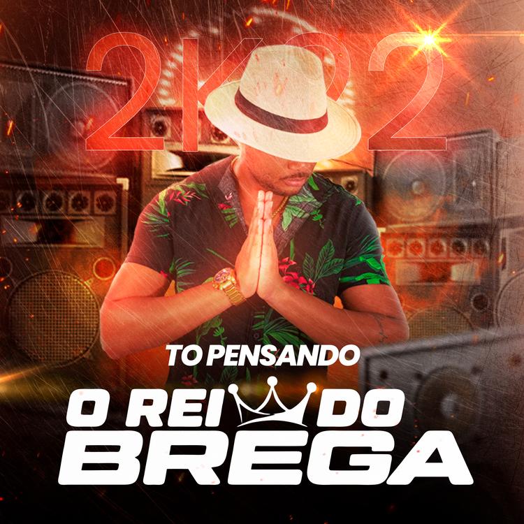 O REI DO BREGA's avatar image