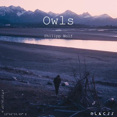 Owls (Edit) By Philipp Wolf's cover