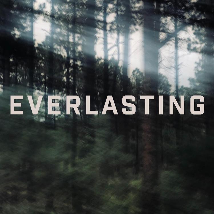 everlasting's avatar image