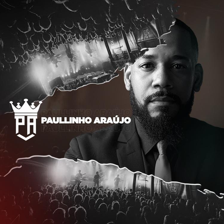 Paullinho Araújo's avatar image