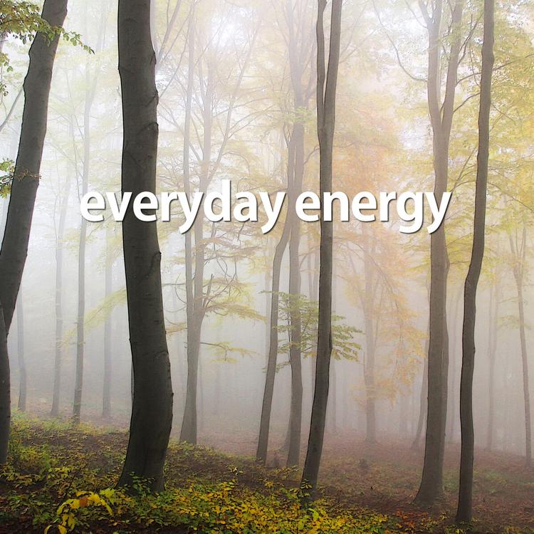 Everyday Energy's avatar image