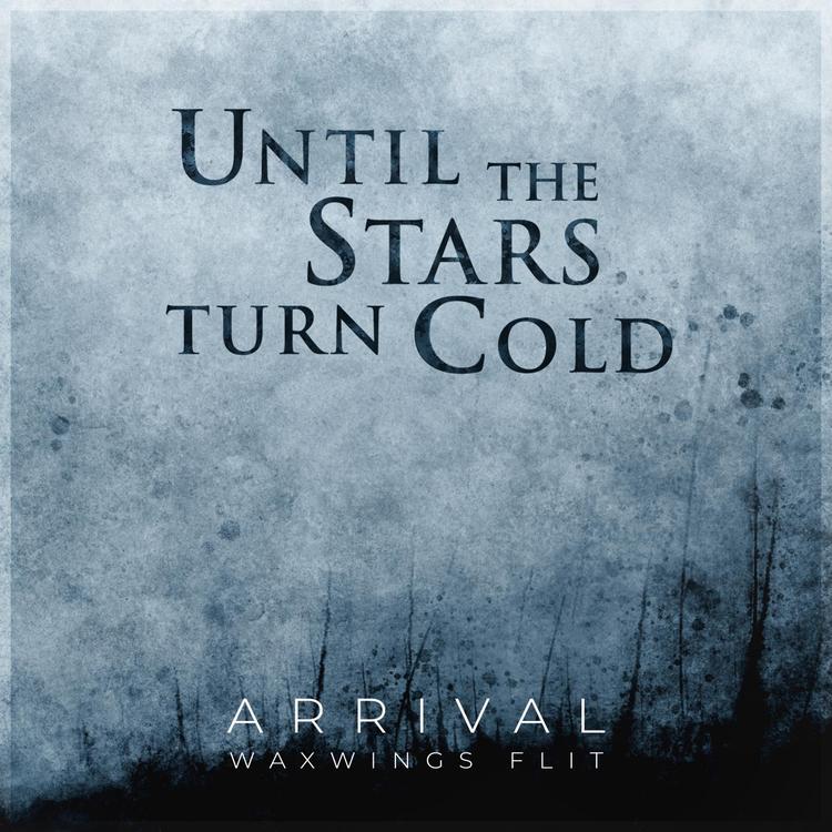 Until The Stars Turn Cold's avatar image