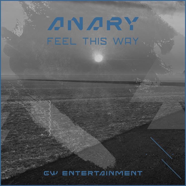 Anary's avatar image