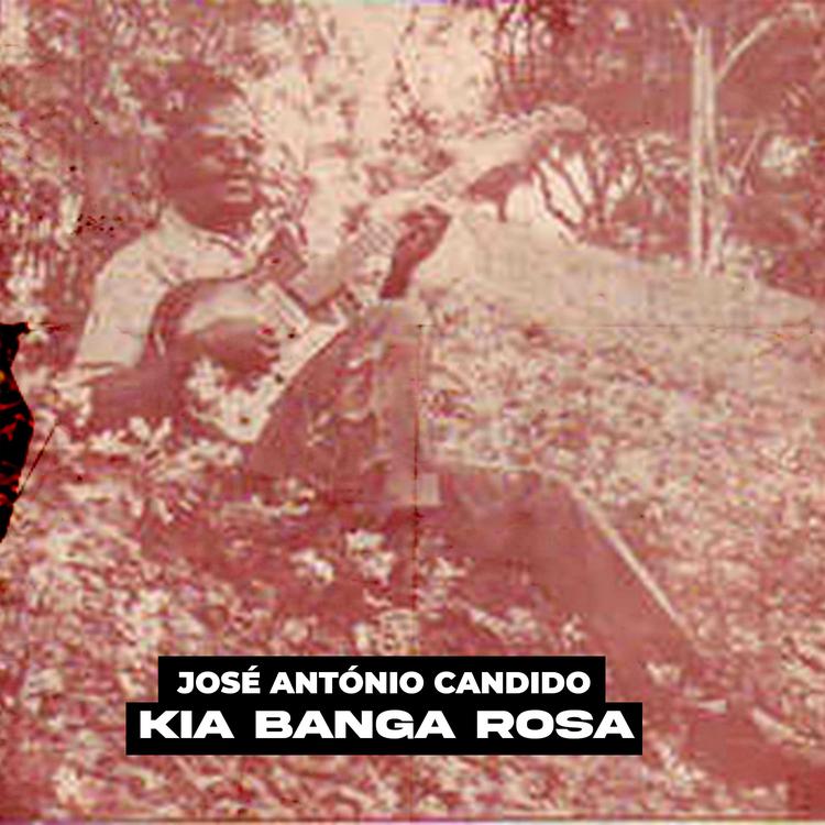 José António Cândido's avatar image