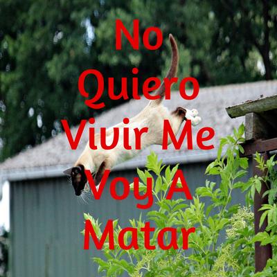 No Quiero Vivir Me Voy a Matar By Me Voy A matar's cover