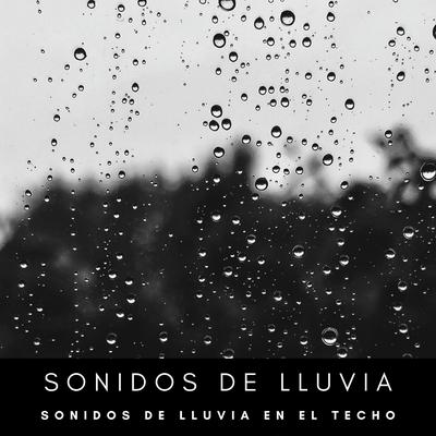 Sonidos De Lluvia: Sonidos De Lluvia En El Techo's cover