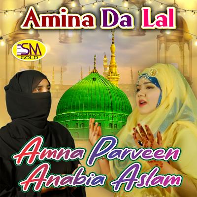 Amina Da Lal's cover