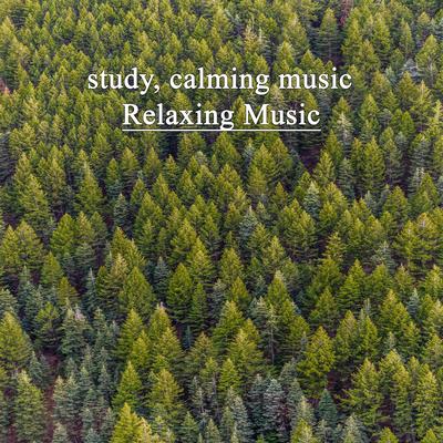 Study, Calming Music (relaxing music)'s cover