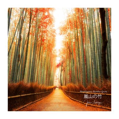 Arashiyama Bamboo Grove By Jade Ashtangini's cover