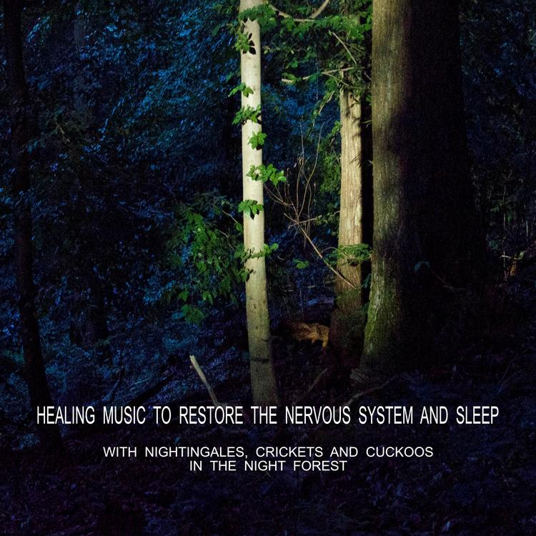 Healing and Relaxing music's avatar image