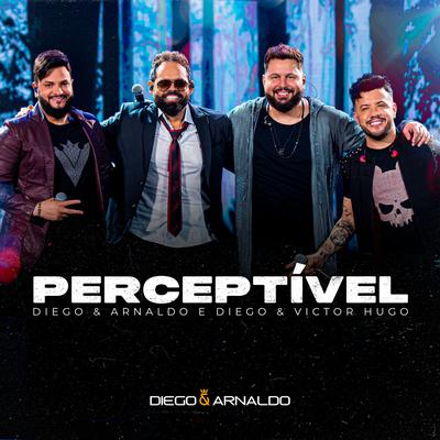 Perceptível (Ao Vivo) By Diego & Arnaldo, Diego & Victor Hugo's cover