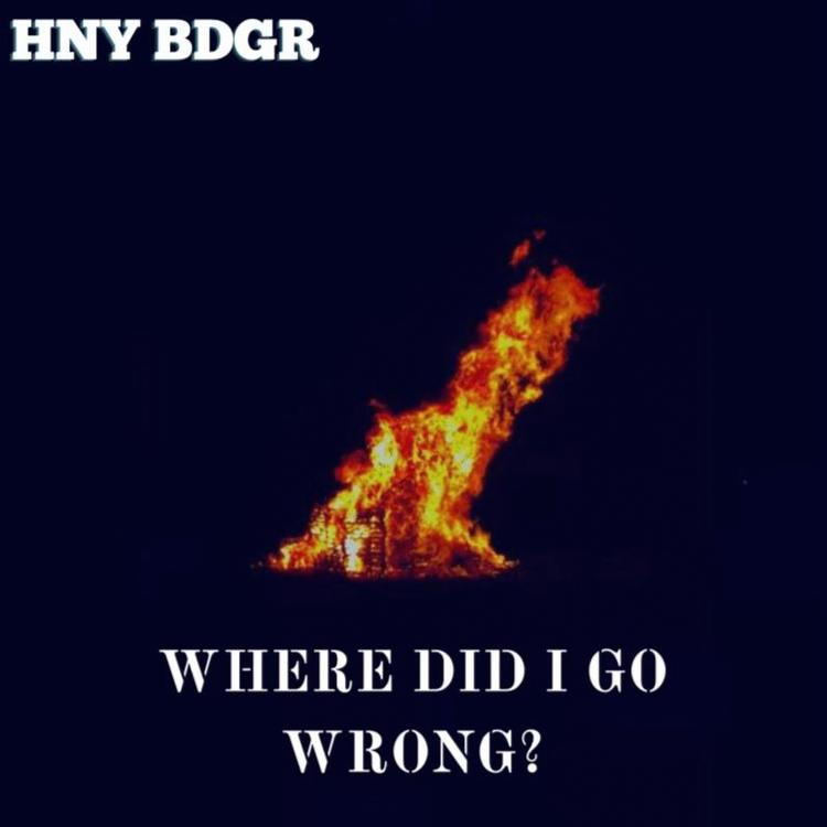 HNY BDGR's avatar image