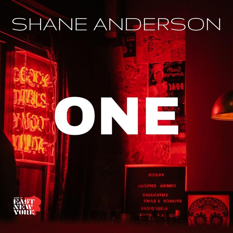 Shane Anderson's avatar image