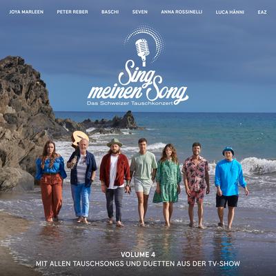 Bring en hei (aus "Sing meinen Song, Vol. 4")'s cover