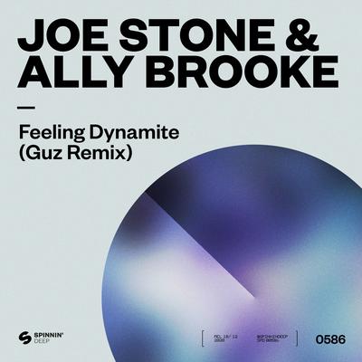Feeling Dynamite (Guz Remix)'s cover