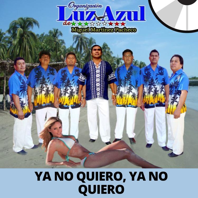 Organización Luz Azul's avatar image