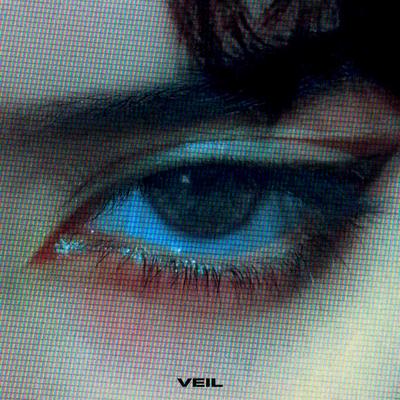 veil's cover