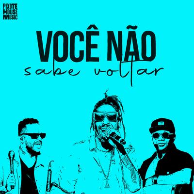 Você Não Sabe Voltar (Ao Vivo) By Pixote's cover