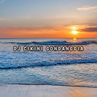 Newbie DJ's cover