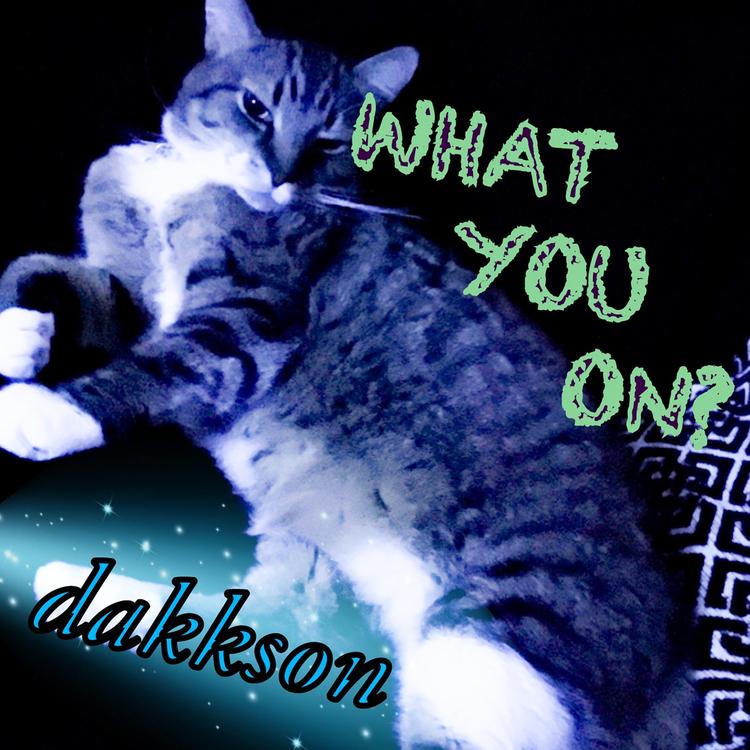 dakkson's avatar image