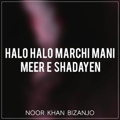 Noor Khan Bizanjo's cover