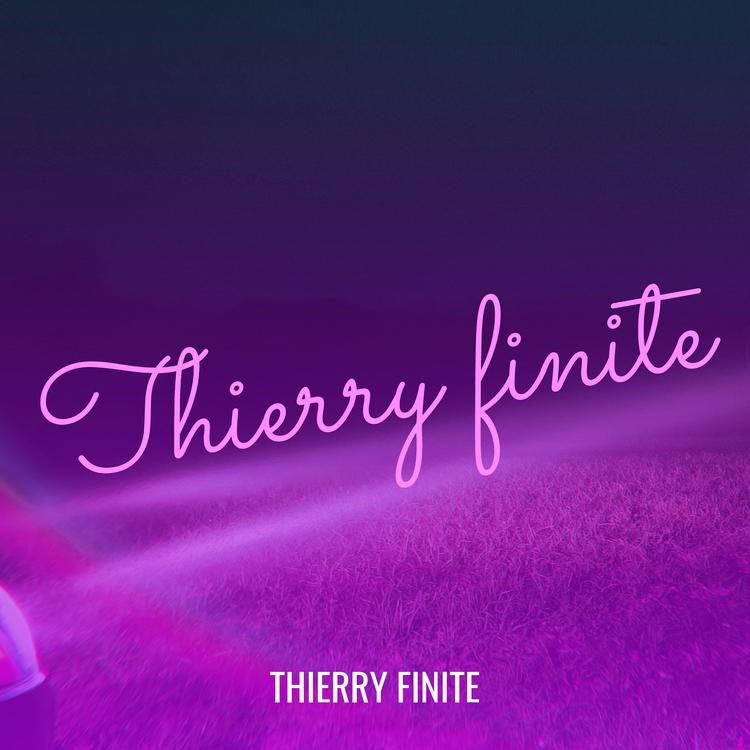 Thierry Finite's avatar image