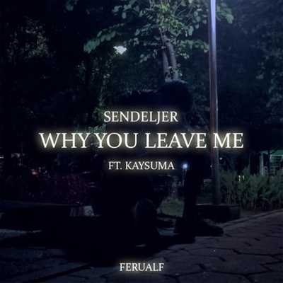 Why You Leave Me's cover