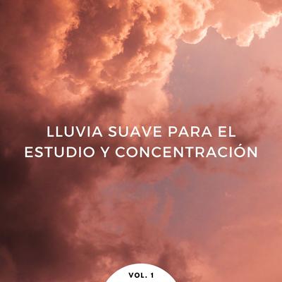 Meditación Con Drones De Lluvia Pesada's cover