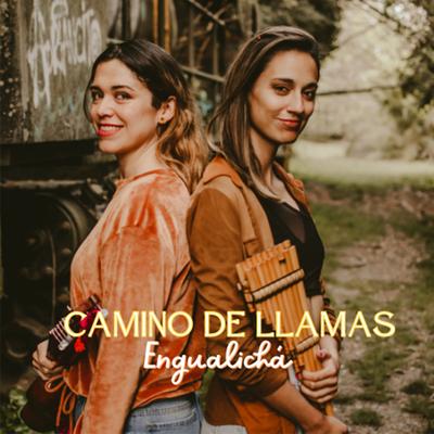 Camino de Llamas's cover