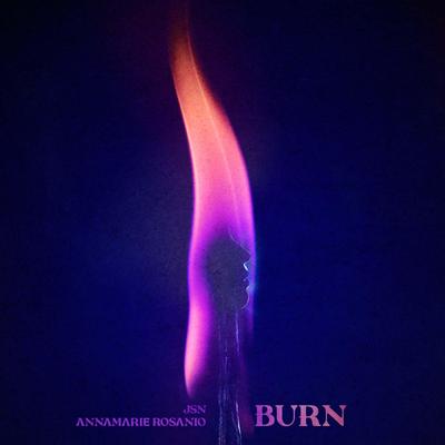 Burn By JSN, Annamarie Rosanio's cover
