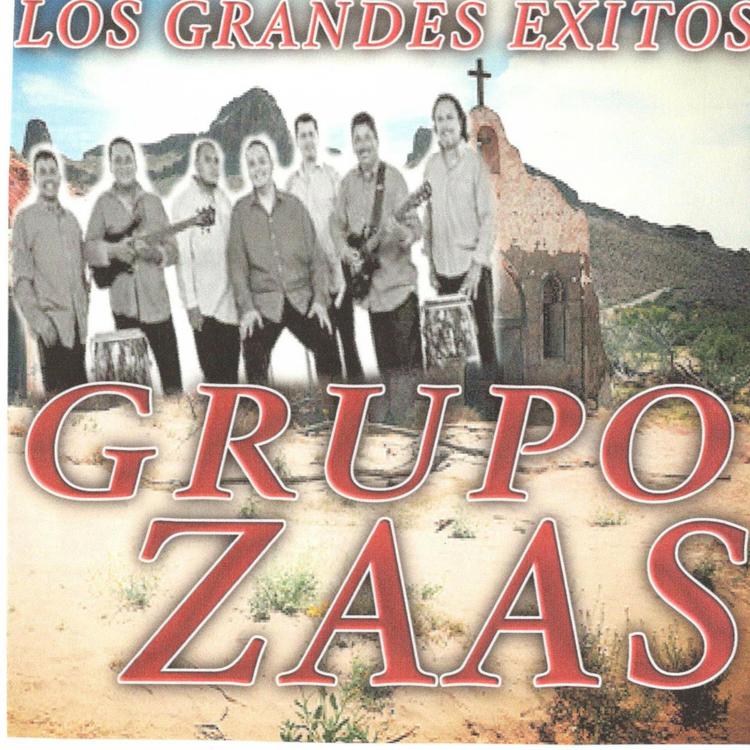 Grupo Zaas's avatar image