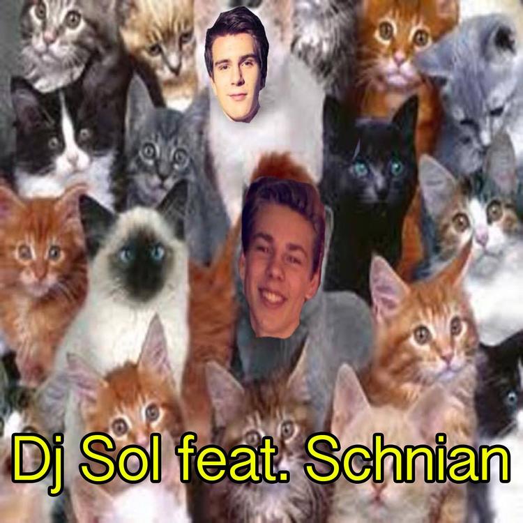 DJ Sol's avatar image