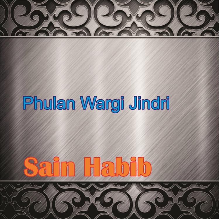 Sain Habib's avatar image