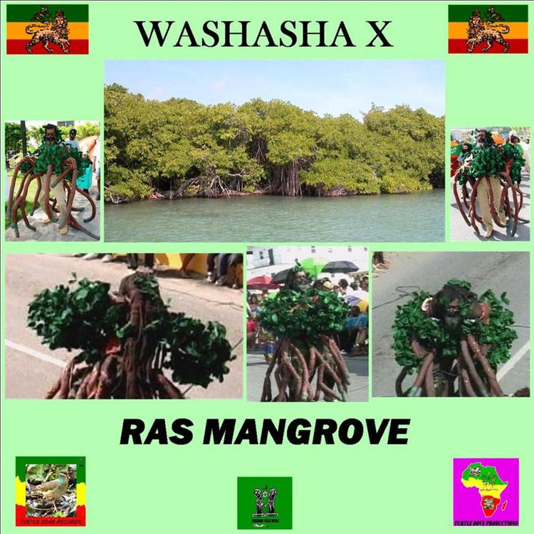 Washasha X's avatar image