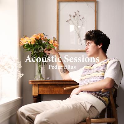 Acoustic Sessions's cover