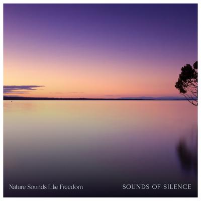 Deep Sleep By Nature Sounds Like Freedom's cover