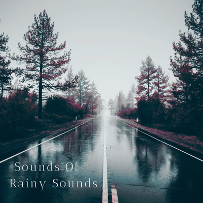 Rainy Busy Forest's cover