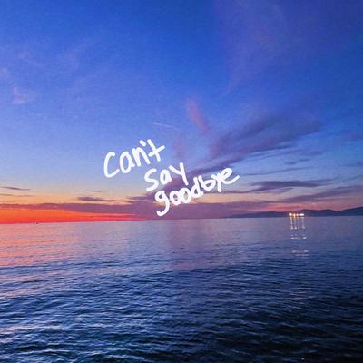 can't say goodbye's cover