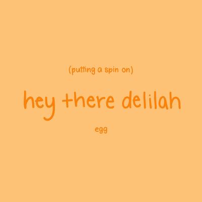 putting a spin on hey there delilah By Egg's cover