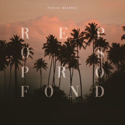 Repos profond By Pascal Desprez's cover