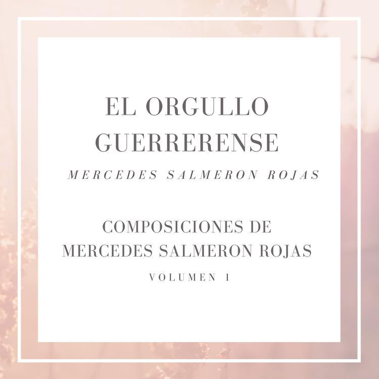 El Orgullo Guerrerense de Mercedes Salmerón Rojas's avatar image