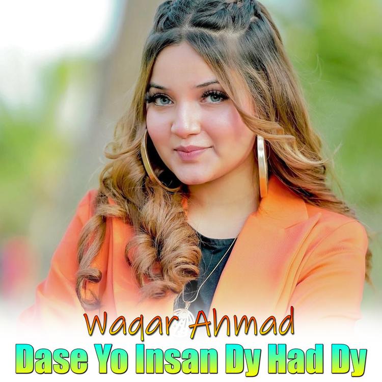 Waqar Ahmad's avatar image