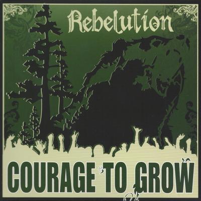 Heart Like a Lion By Rebelution's cover