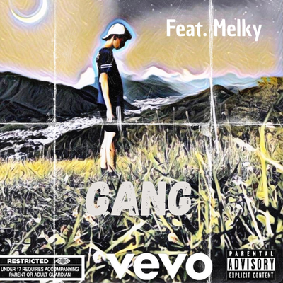 Gang's cover