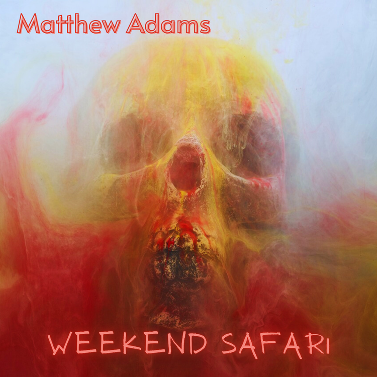 Matthew Adams's avatar image