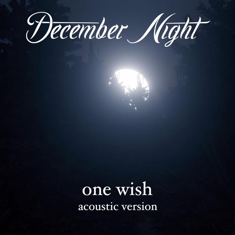 December Night's avatar image